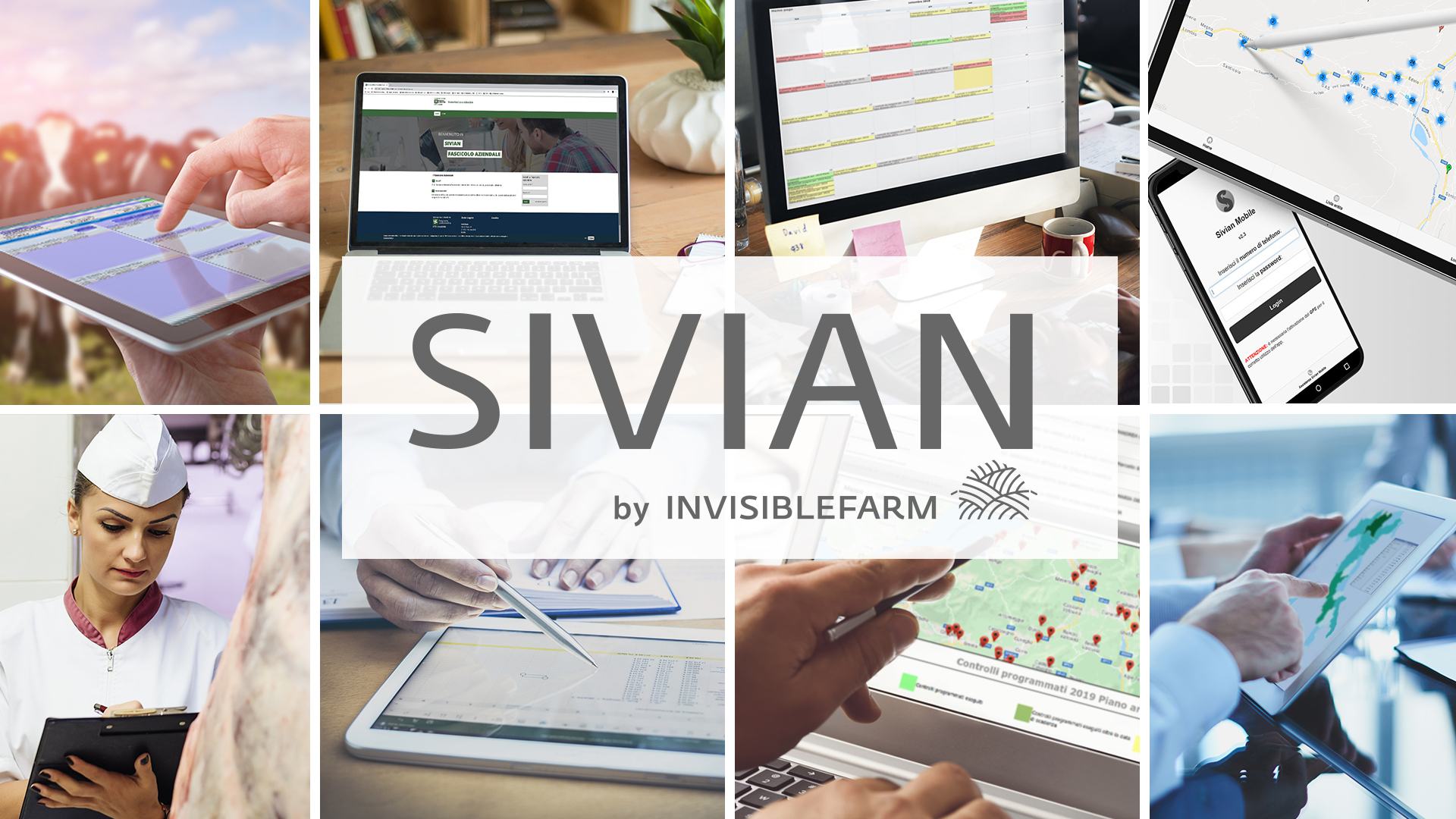 suite-sivian
