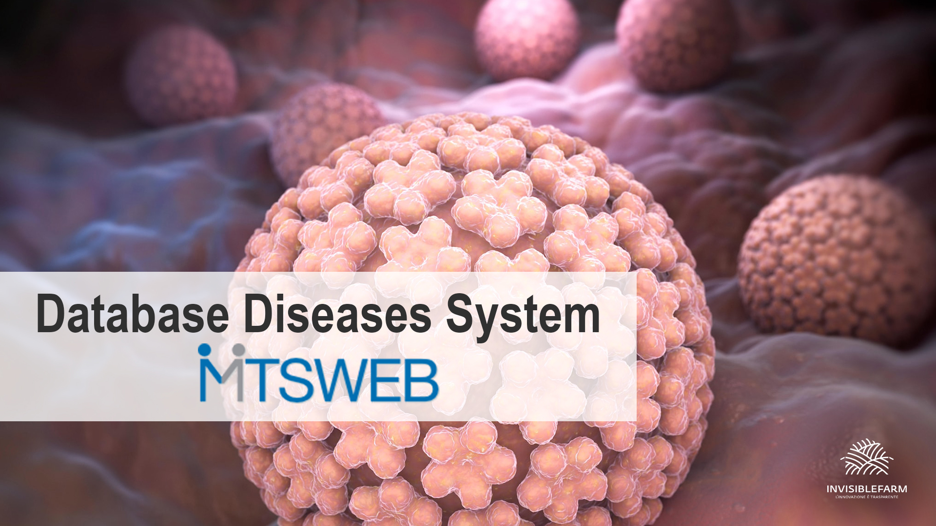 mts-web-database-diseases-system