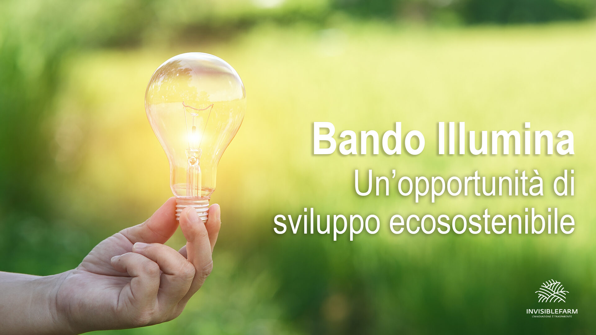 Bando Illumina, un'opportunità di sviluppo sostenibile